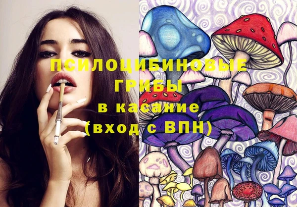 прущие крисы Алексеевка