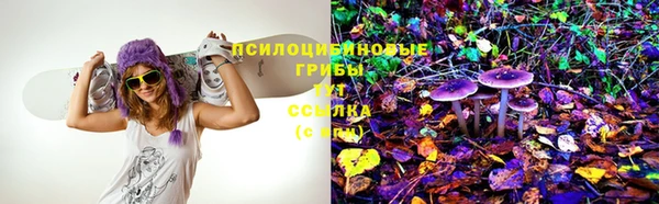 прущие крисы Алексеевка