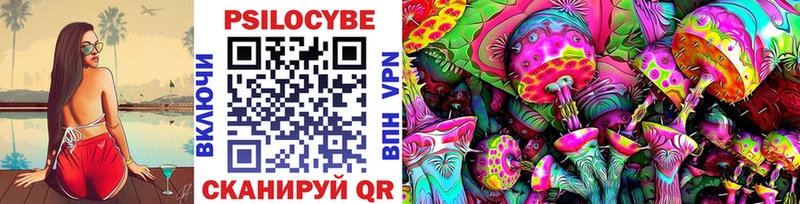Псилоцибиновые грибы Psilocybe  купить закладку  Почеп 
