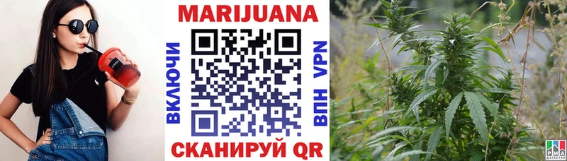 где купить   Почеп  Конопля White Widow 